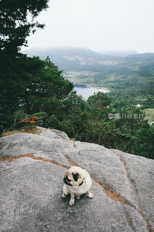 帕格徒步旅行到挪威吕瑟峡湾的布道石山