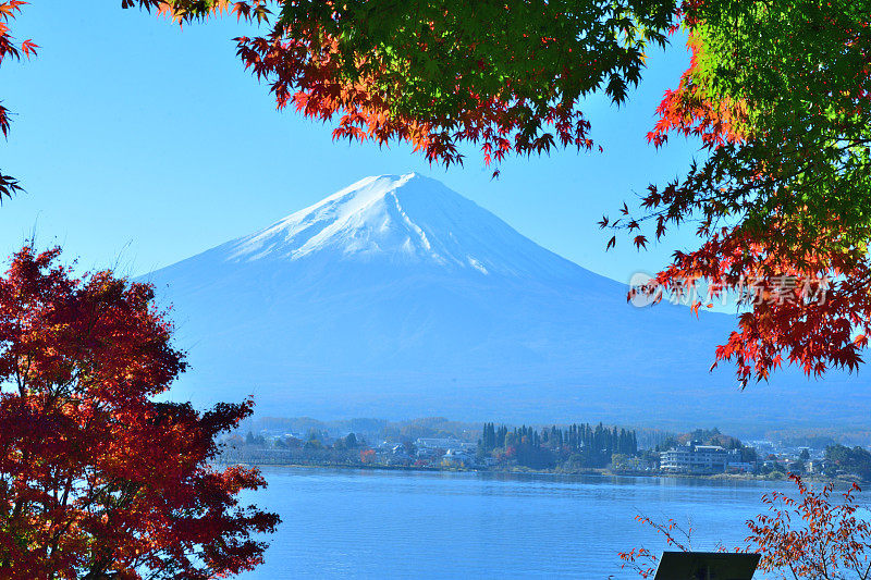 日本富士五湖地区的富士山和秋叶色