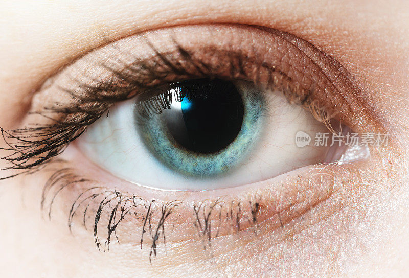 一个美丽的蓝色眼睛的特写