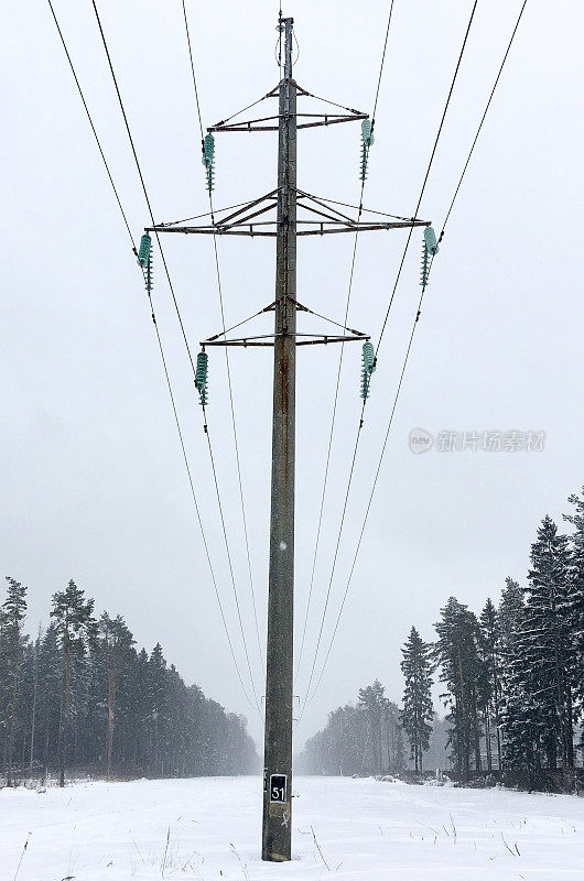 电线在白雪覆盖的森林里。