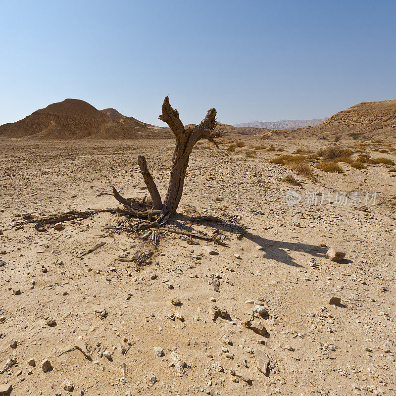 以色列沙漠的忧郁和空虚。