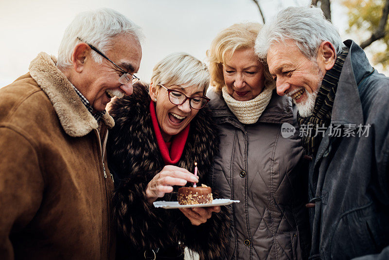 两对兴高采烈的老年夫妇在公园里庆祝