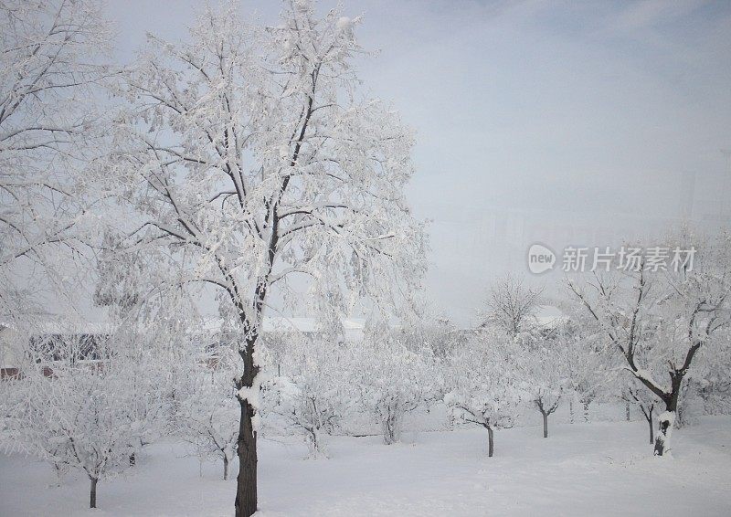 冬天雪风景画