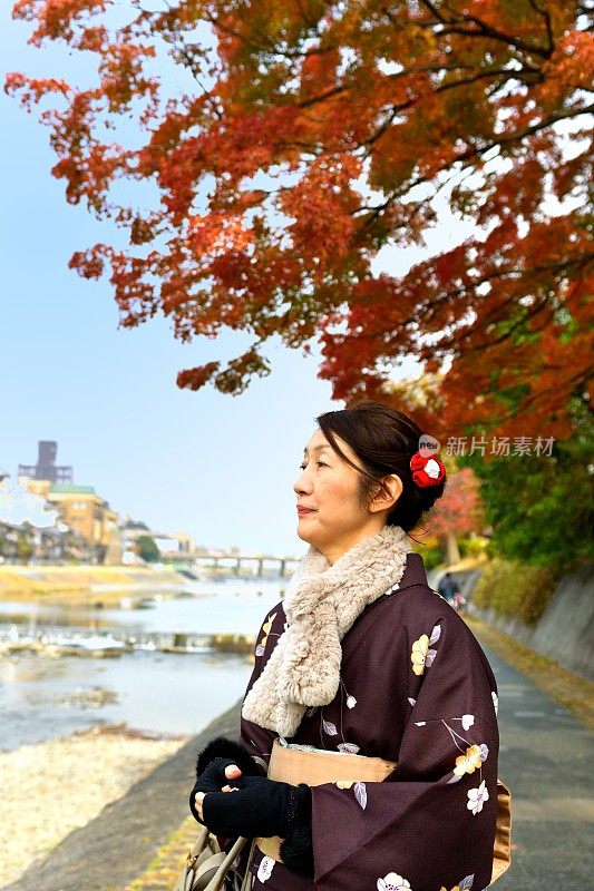 穿着和服的日本妇女在京都的秋天沿着加茂河行走