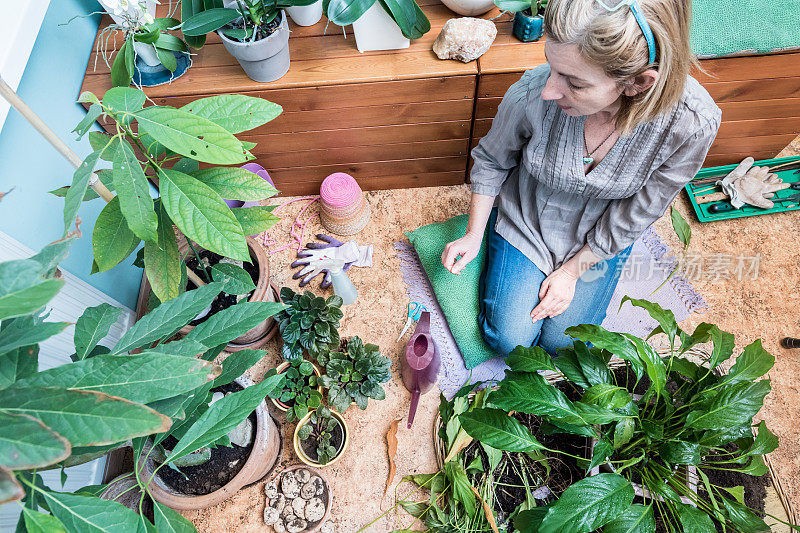 照料室内植物的女人