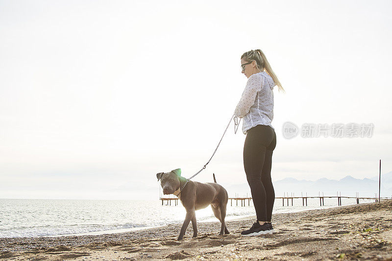 海滩上的女人和狗