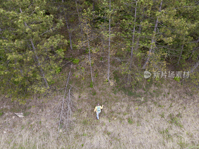 在春天的一天，成年男子徒步在常绿的山林中徒步旅行。鸟瞰图。