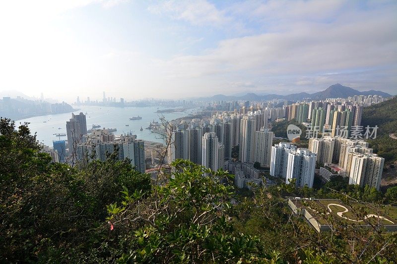 从魔鬼山顶俯瞰香港城市景观