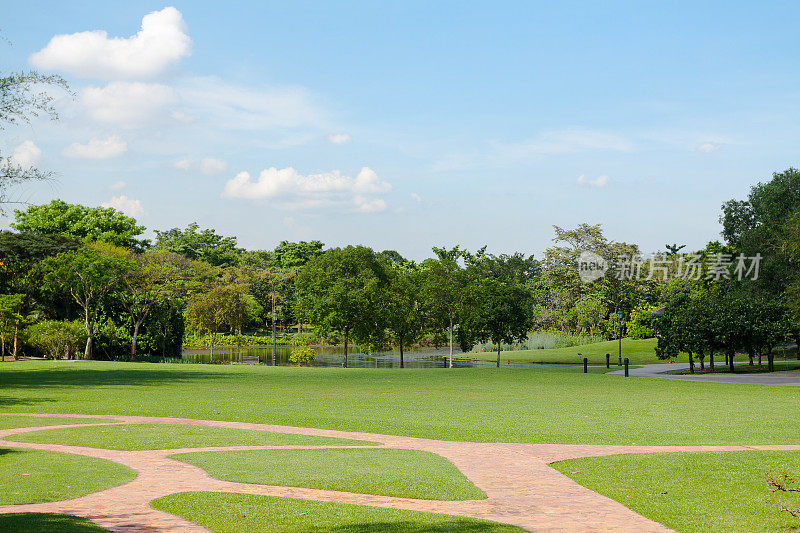 新加坡兰花公园的风景