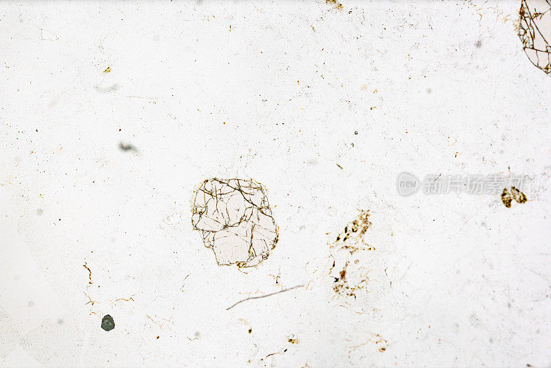 伟晶岩矿物显微镜在光镜下滑动