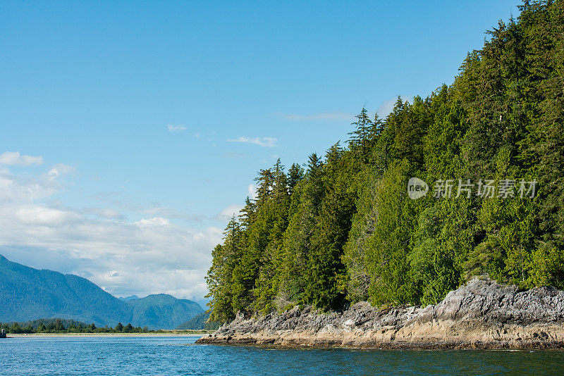 风景Tofino温哥华岛BC加拿大夏季景观