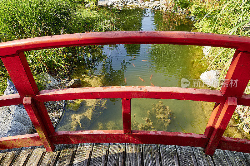 红色的木栏杆和横跨鱼池的桥