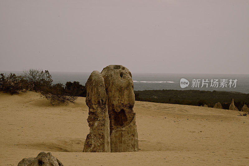 澳大利亚尖峰沙漠中的岩石和植物