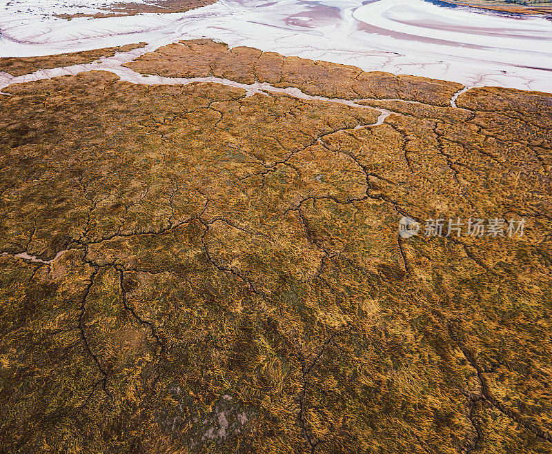 潮汐湿地