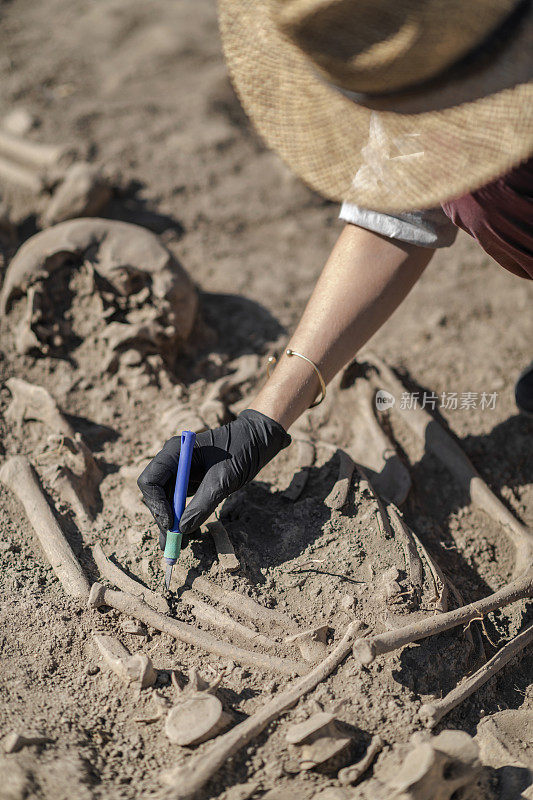 考古学-用挖掘工具挖掘古代人类骨骼的一部分
