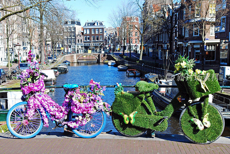 两辆自行车，花和草装饰豪华。