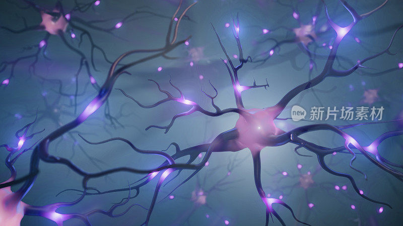 神经元三维图像