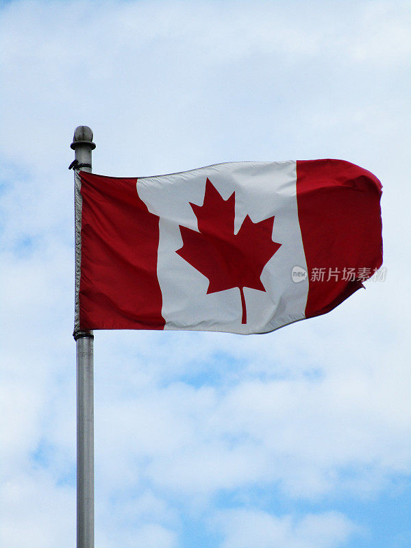 明亮的加拿大国旗在天空的极点2020