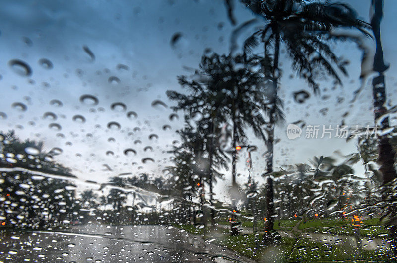 热带雨