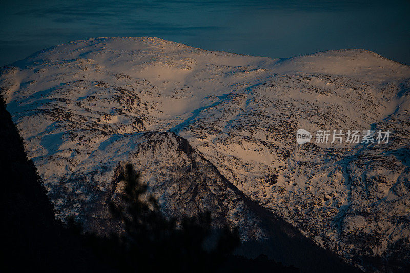 户外:森林和雪山