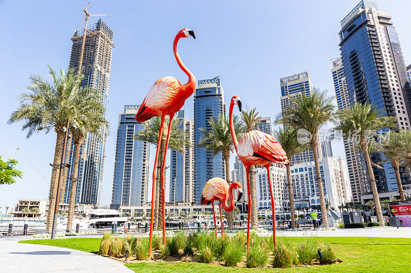 巨大的火烈鸟雕像在迪拜湾海港散步与天际线的背景。