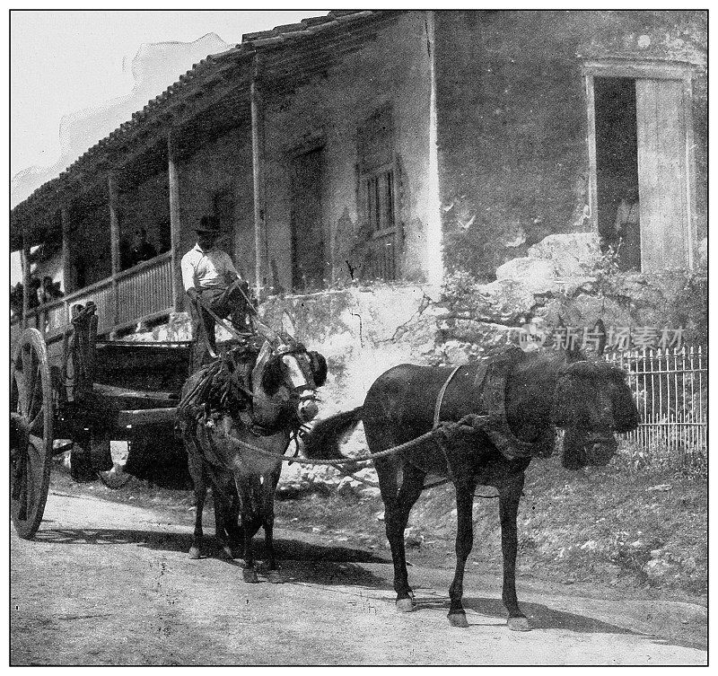 古董黑白照片:波多黎各车