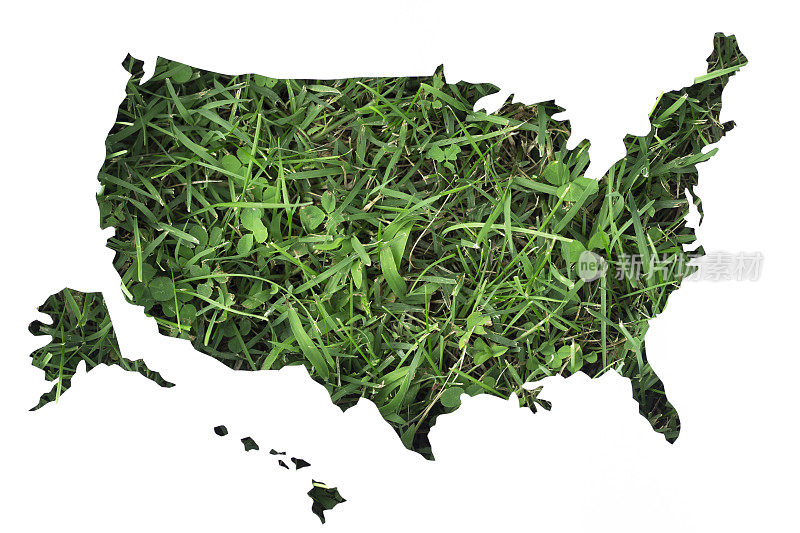 纸做的美国地图，上面有绿色的草