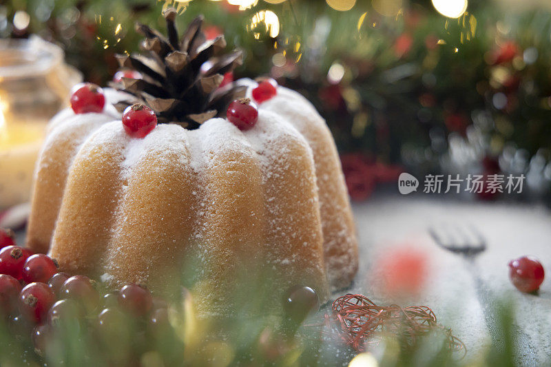 有黑醋栗和圣诞灯的圣诞蛋糕。带装饰的圣诞甜点。