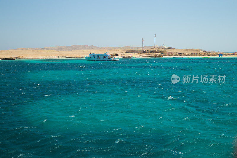 埃及红海的珊瑚礁