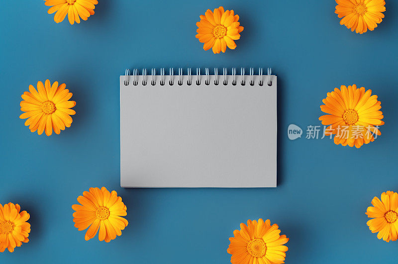 美丽的背景与开放的空白螺旋记事本框橙色万寿菊花卉图案的蓝色背景。平的风格。副本的空间。