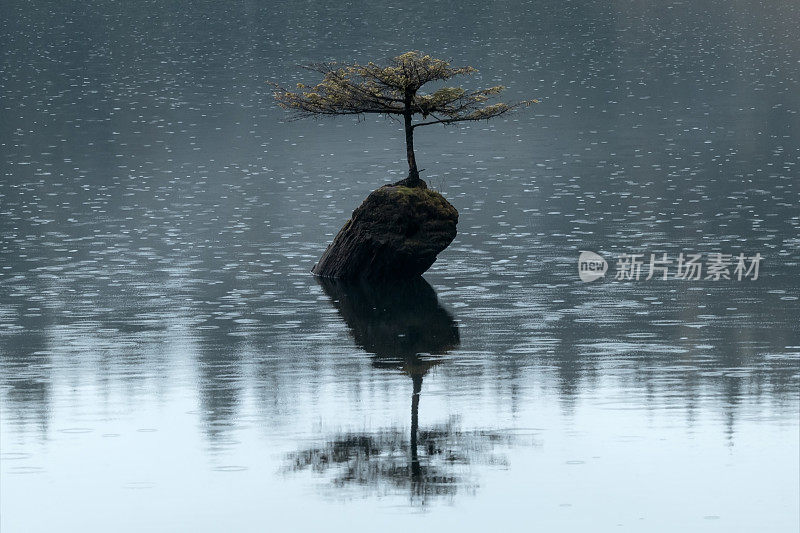 仙女湖上的雨滴