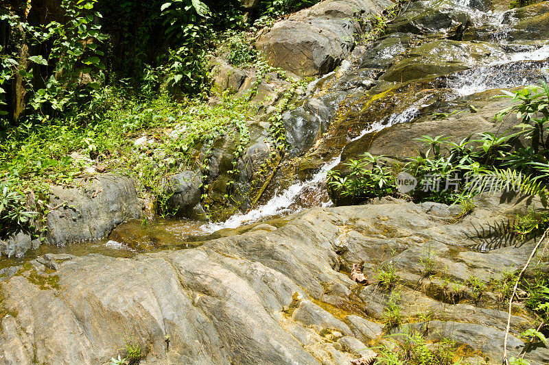 在素哥太省，一条小溪沿着森林的岩石流下来
