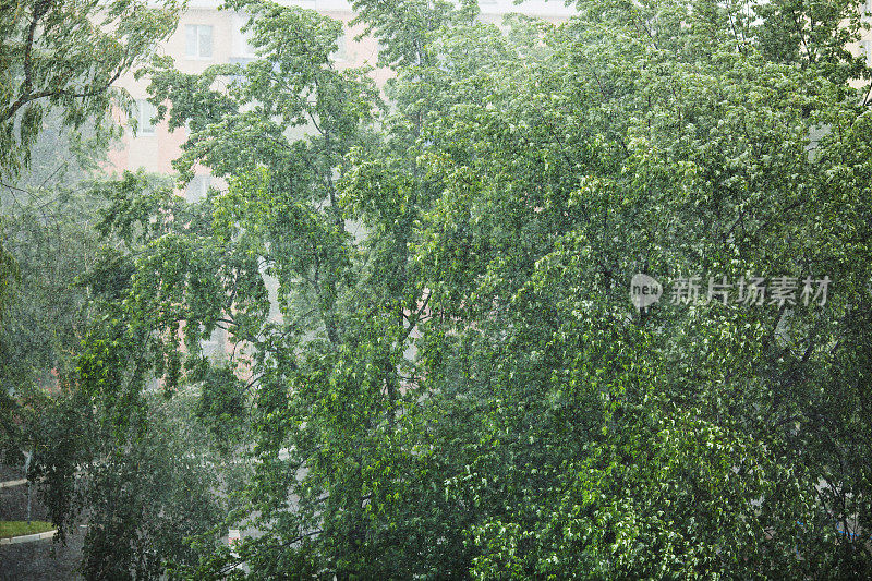 夏季潮湿多雨的天气。雨滴正在下降。秋天的雨。多雨的自然背景