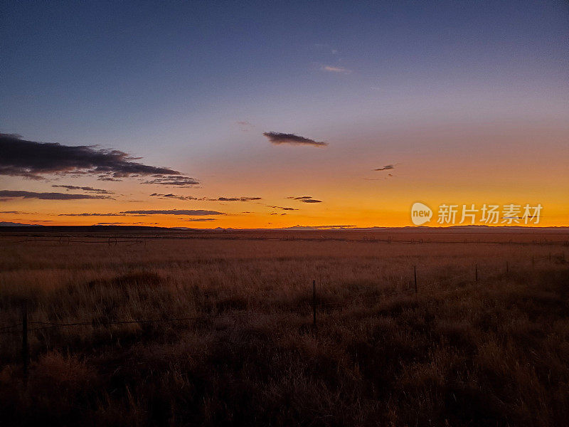 篱笆线和山艾树，傍晚夕阳西下。