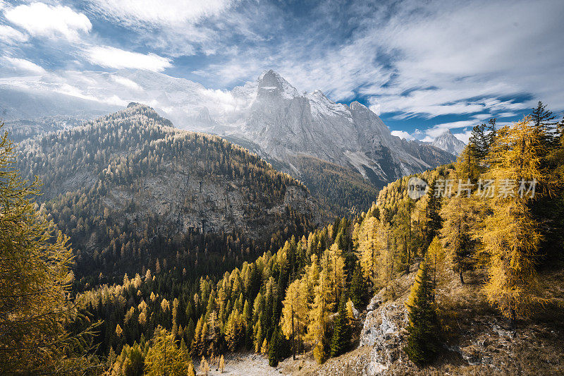 秋天的Marmolada山，前景是黄色的落叶松。意大利的南蒂罗尔。