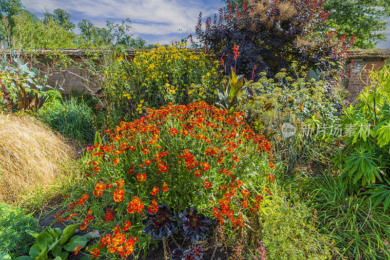 夏花围墙花园，花花绿绿的植物园艺界