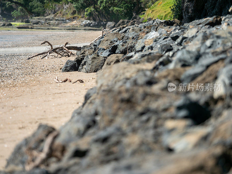 新西兰奥克兰美丽的新西兰海岸线