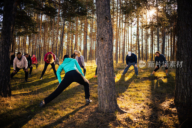 一群白种人，伸展身体，在森林教练带领的集体健身课