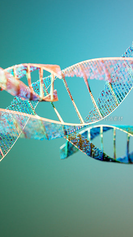 DNA链的科学背景