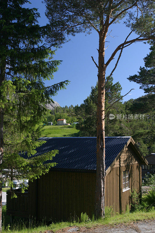 挪威森林荒野夏季露营村