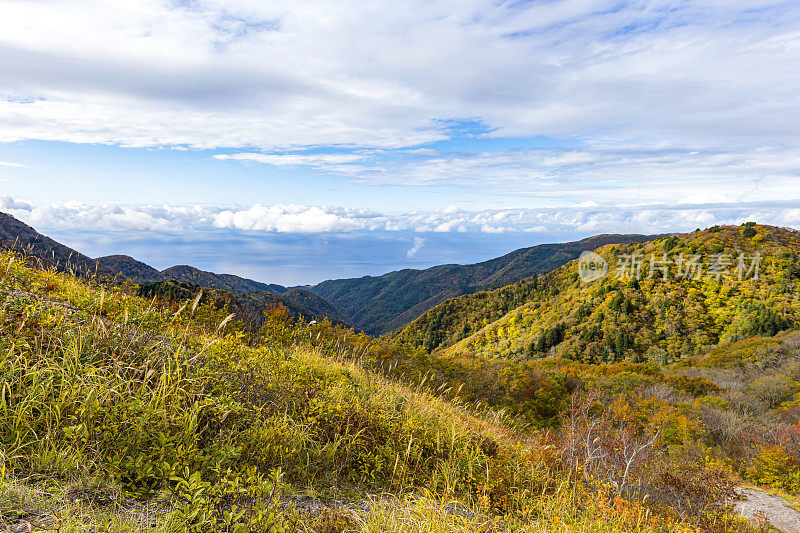 佐渡岛:从日本新泻县佐渡天际线的最高点看，佐渡山和日本海的秋叶景色