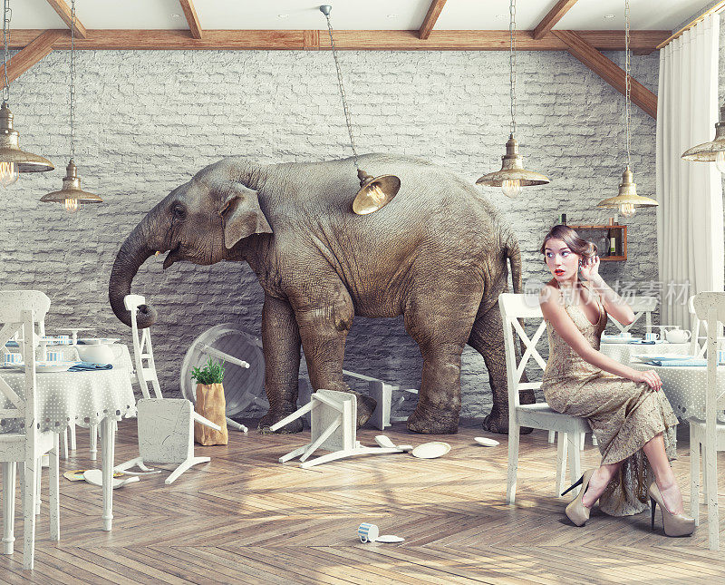 大象在餐厅
