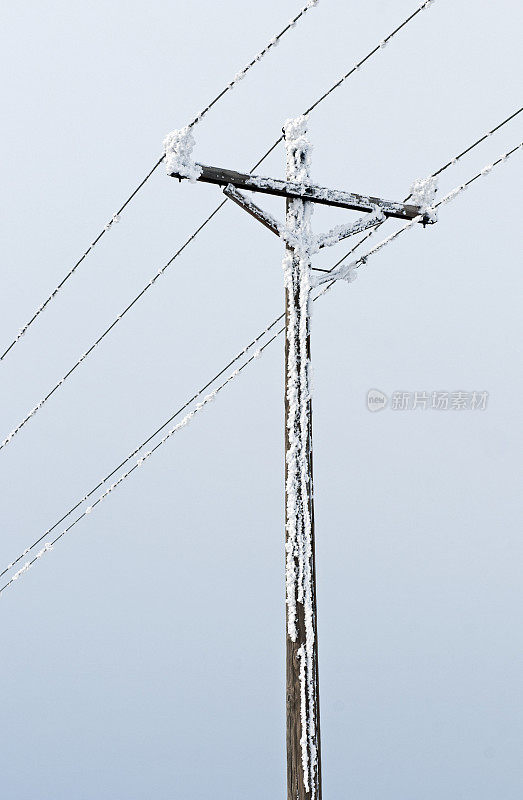 电线杆和电线上覆盖着雪