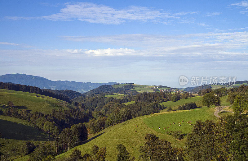 黑森林全景