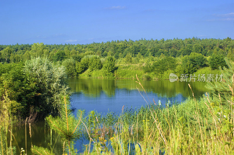 夏天的风景