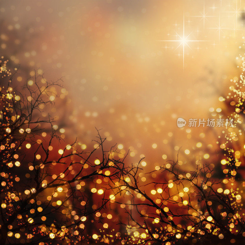 圣诞背景与星星和灯光
