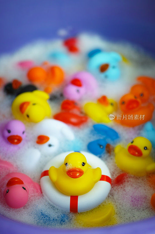 满碗的彩色橡皮鸭在肥皂泡沫和水里挣扎着生存，一只黄色的鸭子在救生圈上生存。