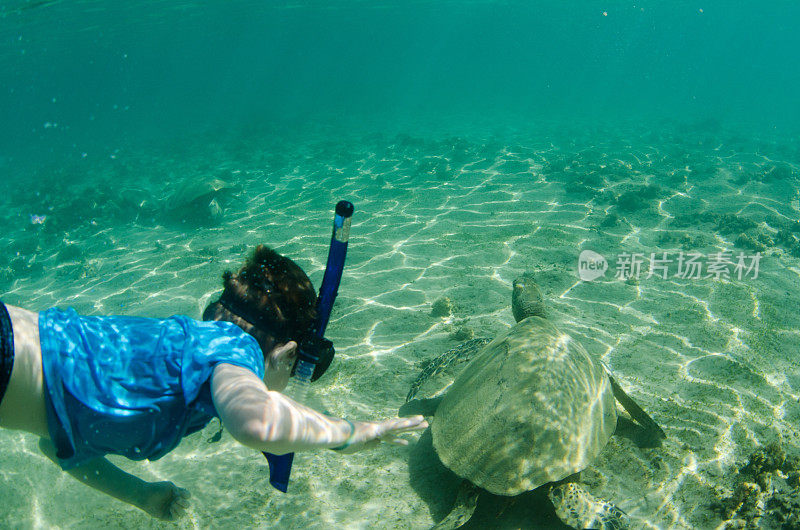 孩子在潜水时探索和学习海龟