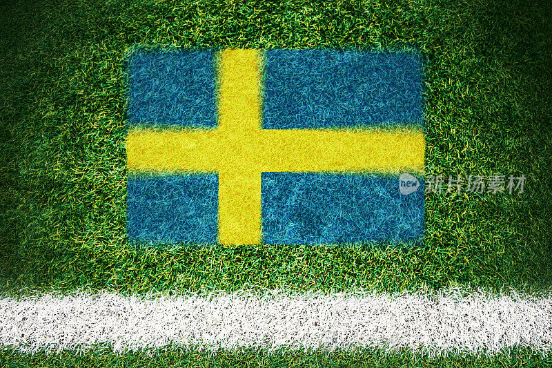 足球场上印着瑞典国旗