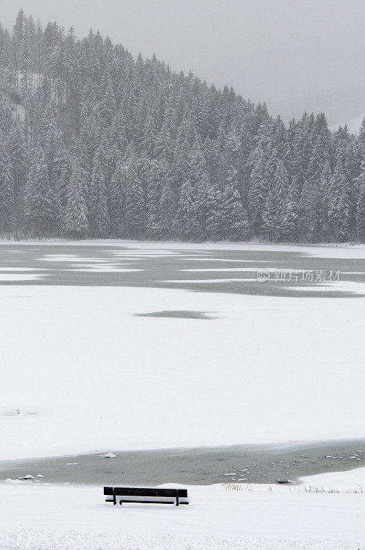 冬天，斯皮辛湖岸边的公园长椅上满是积雪，空荡荡的